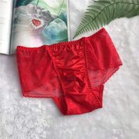 Underpants Man Sexy Lace Panties Gay Male Sissy Lingerie Ruf...