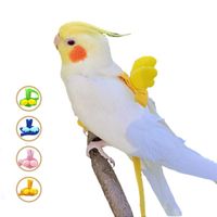 Other Bird Supplies 2M Adjustable Parrot Harness Leash Kit Outdoor Flying Training Rope With Wing Small Medium Cockatiel Budgie Oiseaux