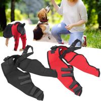 Dog Apparel Leg Brace Protector Joint Injury Recovery Protec...