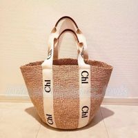 bags from dhgate christian dior｜TikTok Search