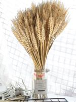 Fleurs décoratives couronnes 100pcs de blé séché Stales de blé dorées de la décoration naturelle de la décoration dernier