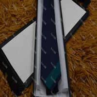 Erkek Moda Deseni Kişilik Nakış 15 Stil Tie Renk İpek Vahşi Bağlar Erkekler Resmi İş Kabı G6687261Z