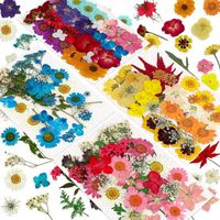 Dekoratif Çiçekler Çelenkler 144 adet Doğal Kurutulmuş Preslenmiş Reçine, Kuru Çiçek Toplu Otlar Kiti Mum, Epoksi Reçine, DIY Sanat El Sanatları