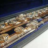Verne Q Powell 9k Aurumite Gold External Professional Flute ...