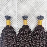Mongolian 3B 3C Unprocessed Virgin Afro Kinky Curly I Tip Human Hair Extensions Brazilian Keratin Fusion Pre-bonded Hair Extensions Indian 100s 100g Natural Black