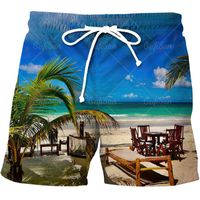 Men' s Shorts Summer Men' s Beachwear Hawaiian Style ...