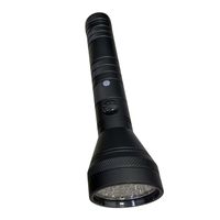 Torce torce 395nm luce nera USB Rilevatore a LED ricaricabile per le macchie di urina per cani Verificando il flashlight di Money Flashflash