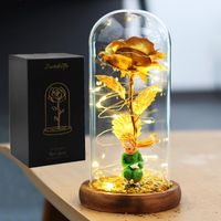 Dekoratif Çiçek Çelenkleri Galaxy Gül Ebedi 24K Altın Folyo Küçük Prens Yapay Çiçek Ev Dekoru için Dome Işıkları Sevgililer