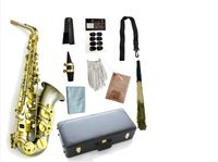 Imagens reais Alto saxofone EB Tune Copper Material escovado Woodwind Professional com acessórios Sax Bocalista