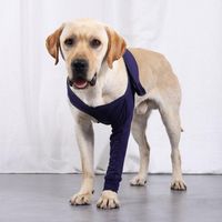 Dog Apparel Pet Support suprimentos anti-lamber protetor Restauração Recuperação de mangas de mangueira