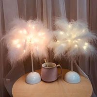 Table Lamps Feather Lamp Battery Power DIY Creative Warm Lig...