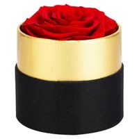 Dekorative Blumen Kränze Konservierte Rose Blume Eternal in Box Set Hochzeit Mutter Tag Weihnachten Valentine Jubiläum für immer Liebe Geschenke