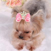 Reparada de perros Bows Bows Crystal Crown Cat Hair Accesorios de Pog Small Pog Bands Bold SuppliesDog