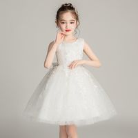 2022 new girls dress fluffy lace cute sweet flower girl catwalk show hostess costumes