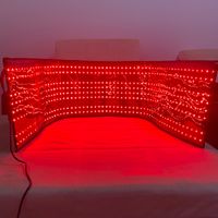 Terapia a infrarossi Avvolgere il nuovo design per sollievo antidolorifico e perdita di grasso popolare coperta di terapia a luce rossa a LED per corpo