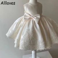 Newborn Infant Girls Clothes Flower Girl Dresses For Weddings Toddler Kids Vestidos Baby Girls 1st Birthday Baptism Big Bow Tutu Party Lace Dress Easter Gown CL0409