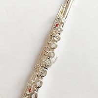 Flute Professional Cupronickel Open C Key 16 Hole Hole Silver Musical Musical مع حالة وملحقات