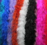 2022 Nieuwe groothandel-2m Marabou Feather Boa voor Fancy Dress Party Burlesque Boas Kostuum accessoire gratis