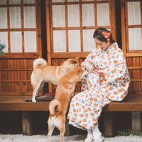 Ropa étnica al estilo japón de algodón kimono algodón tradicional verano yukata yukata para la casa transpirable ropa vintage cosplay wearethn