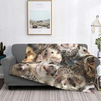 Cobertores ouriços de cobertores Animais da floresta inverno quente pluxush super macio capa de lã de lã de lã de cama piquenique para piquenique