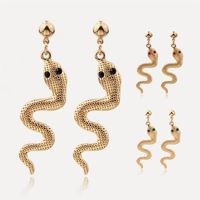 New Chrismas Gift for Girl Lady Snake Earrings Kit Animal Snake Dangle Earrings Snake Wave Drop Earrings for Women Fashion Jewelry280J