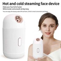 Face Care Devices Hot and Cold Steamer Facial Humidifier 250...