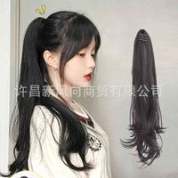 Perücke Frauen langes Haar Perücken Verband Typ Micro Net Red Claw Schwanz Curl Big Wave Natural Twist Braid