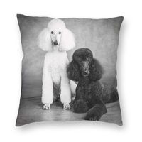 Cushion Decorative Pillow Poodle Dog Cushion Cover 40x40cm Home Decor 3D Print Pudel Caniche Throw Case For Living Room Double SideCushion D