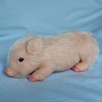 4. 7in Full Body Silicone Piglet Cute lifelike Piglet Soft Si...