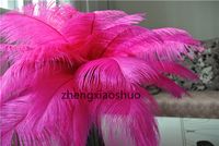100pcs / lot en gros 14-16inch (35-40cm) plumes d'autruche rose chaud plumes plume fuchsia pour centre de mariage décoration de mariage