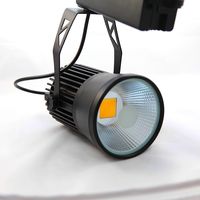 Darmowa wysyłka 30W COB LED Halk Light Store Store, aby strzelać do Lampy Lampa Shoot Shoot COB