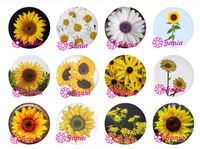 New Arrival 18mm Cabochon Glass Stone Buttons Cabochon Daisy...