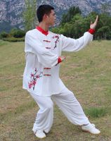 Tai Chi Erkekler ve Kadınlar Yaz Çin Tarzı Erik Tai Chi Giyim Dövüş Sanatları Uygulama Üniformaları Takım Elbise