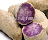 Alta qualità.50 semi / confezione.annual frutta e verdura semi di verdure Okinawa viola patata dolce.Diy Home Gardenbonsai pianta semi.