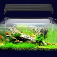 no aquariums lighting aquariums