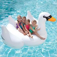 Inflatable Swan Uk Inflatable Swan Uk