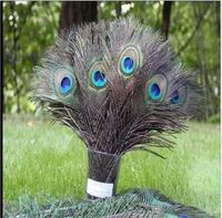Elegantes materiales decorativos Real Natural Peacock Feather Hermosas Plumas de 25 a 30 cm de envío gratis