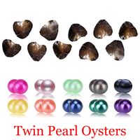 Pérolas de gêmeos de água doce em ostras 25 cores pérolas pérolas de ostras com pó de jóias de luxo para mulheres para mulheres
