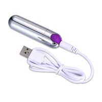 Sex Toys Waterproof 10 Speed Bullet Vibrator for Clit Stimulator, USB Rechargeable Silver Bullet Vibrator For Women
