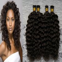 Pre bonded Curly Hair U Tip Human Hair Extensions Nautral Co...
