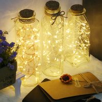 2M 20 Leds Christmas Lights String LED Copper Wire Waterproo...