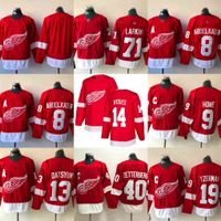 dylan larkin jersey for sale