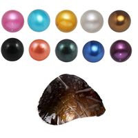 Großhandel DIY Akoya 25 Farbe Hochqualität billige Liebe Süßwasserschale Perle Auster 6-7mm Perlen Auster mit Vakuumverpackung