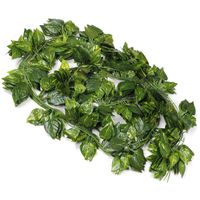 7 photos wholesale artificial greenery online 12 artificial greenery lvy chain vines leaves garland hanging for wedding - Christmas Greenery Wholesale 7 photos wholesale artificial greenery online 12 artificial greenery lvy chain vines leaves garland hanging for wedding - Christmas Greenery Wholesale