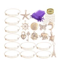 10st / set Gold Tone Expanderbar Wire Bangle Bracelets Charms Presentväskor