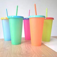 INS caliente 24 oz color cambiante taza vaso de plástico con tapa y paja reutilizable colorido botella de agua 5 unids/set magia taza de plástico A06