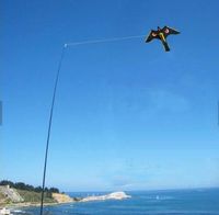 Schädlingsbekämpfung 2,5x7,7 Fuß Black Hawk Kite Kits Vogelvernichter Schützen Farmers Crops Kommt mit einer kostenlosen Linie