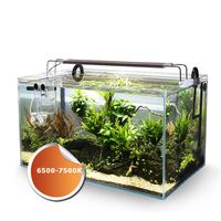 no aquariums lighting aquariums