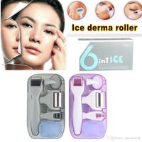 Tamax 6in1 Derma Roller Kits Micro Agulha 0.5 / 1.0 / 1.5 / 2.0mm com carimbo derma agulhas e kits de escova de rosto