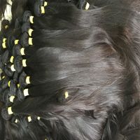 Não processado brasileiro pêlos retos premium virgem cabelo humano glamoroso peruano indiano indiano doador cabelo recolher de jovens senhoras